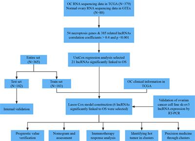 Necroptosis-associated long noncoding RNAs can predict prognosis and differentiate between cold and hot tumors in ovarian cancer